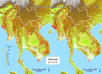 Malaria1.gif