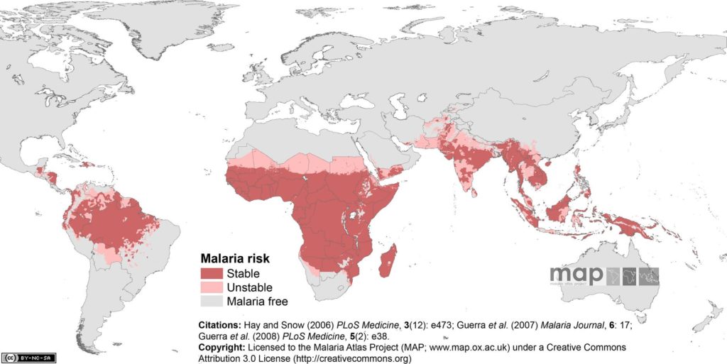 Global malaria map