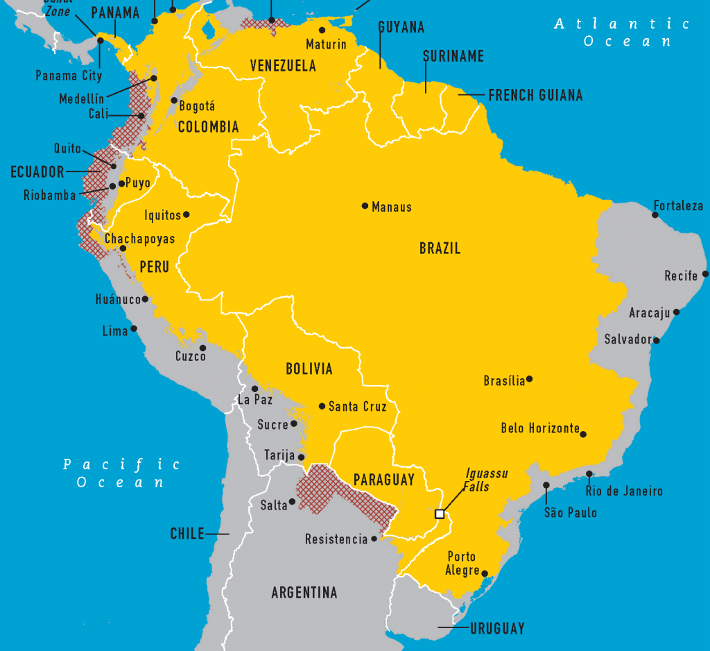 yellow-fever-brazil